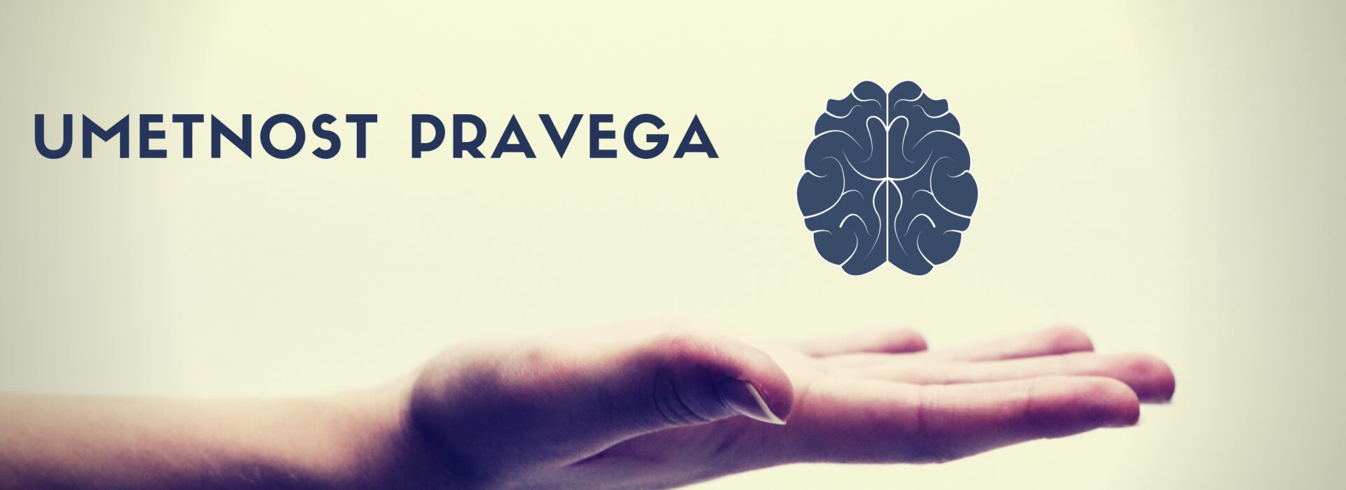 Projekti in področja dela OMEGA consult